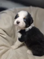 processed/aea725df-222f-4d60-abb1-73653cd97e9c/listing/104f04e2-0cb7-43d7-b94a-5fc0718531bc/e16f466b-beeb-4e0c-9c98-b8f34057729f