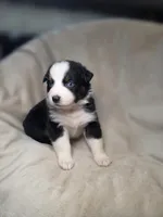 processed/aea725df-222f-4d60-abb1-73653cd97e9c/listing/2da554fe-6673-419a-915a-8d7987d4380d/6fdf61f4-2a37-4712-a851-31c9f0d303b3