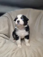 processed/aea725df-222f-4d60-abb1-73653cd97e9c/listing/2da554fe-6673-419a-915a-8d7987d4380d/71f84781-9ada-41f4-a7cb-fed8ebf02040