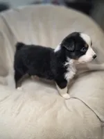 processed/aea725df-222f-4d60-abb1-73653cd97e9c/listing/2da554fe-6673-419a-915a-8d7987d4380d/724727fc-6d9e-4f90-899a-489594fd5a88