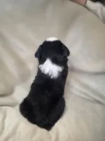 processed/aea725df-222f-4d60-abb1-73653cd97e9c/listing/2da554fe-6673-419a-915a-8d7987d4380d/84441e7d-dc0a-434b-b62d-eefb5e42862d