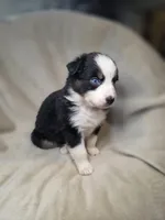 processed/aea725df-222f-4d60-abb1-73653cd97e9c/listing/2da554fe-6673-419a-915a-8d7987d4380d/d4a609a1-9647-4f8a-b18d-a1d7ef8e4a93