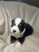 processed/aea725df-222f-4d60-abb1-73653cd97e9c/listing/460e097d-66b6-4f7f-b08c-15243704d481/131b1819-50b6-4606-9bda-c68ac8d323ee