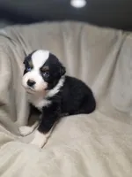 processed/aea725df-222f-4d60-abb1-73653cd97e9c/listing/460e097d-66b6-4f7f-b08c-15243704d481/479adcc4-cd19-4189-acdc-f5d2e5951a48