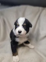 processed/aea725df-222f-4d60-abb1-73653cd97e9c/listing/460e097d-66b6-4f7f-b08c-15243704d481/4b46ca1f-5845-428c-8bbe-18d7281414fd