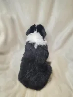 processed/aea725df-222f-4d60-abb1-73653cd97e9c/listing/460e097d-66b6-4f7f-b08c-15243704d481/7a82f89f-80fc-46a7-8b9d-84f7f2c2865c