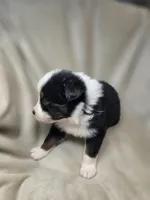 processed/aea725df-222f-4d60-abb1-73653cd97e9c/listing/460e097d-66b6-4f7f-b08c-15243704d481/8ca82b01-9b41-4862-a1ad-583ad7e34b79