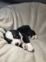 processed/aea725df-222f-4d60-abb1-73653cd97e9c/listing/460e097d-66b6-4f7f-b08c-15243704d481/fb779194-a038-4a75-8f90-b7710242d830