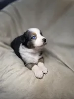 processed/aea725df-222f-4d60-abb1-73653cd97e9c/listing/91206454-701c-40bb-b99b-5aa7cae0a457/3c3ddd82-cbb2-4ccf-b516-848464419cf6