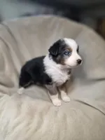 processed/aea725df-222f-4d60-abb1-73653cd97e9c/listing/91206454-701c-40bb-b99b-5aa7cae0a457/53f75f06-3c57-4c0f-a68a-7e3ec4f253f9