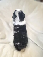 processed/aea725df-222f-4d60-abb1-73653cd97e9c/listing/91206454-701c-40bb-b99b-5aa7cae0a457/76662235-88b8-49e6-87fa-735c36868457