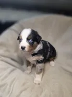 processed/aea725df-222f-4d60-abb1-73653cd97e9c/listing/91206454-701c-40bb-b99b-5aa7cae0a457/ac3bae23-2dde-4e5e-9be7-b1d29c667394