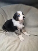 processed/aea725df-222f-4d60-abb1-73653cd97e9c/listing/91206454-701c-40bb-b99b-5aa7cae0a457/b4b542af-559e-4312-a145-899b07569dd1