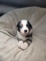 processed/aea725df-222f-4d60-abb1-73653cd97e9c/listing/91206454-701c-40bb-b99b-5aa7cae0a457/d0485c9d-c0bc-4892-a8e4-aacfbe4a35f9