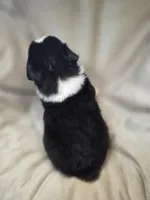 processed/aea725df-222f-4d60-abb1-73653cd97e9c/listing/daa8b16c-5c65-4573-be08-6a6ac141d2a2/4a42764b-1c49-4c21-bf76-29d0eeff84e2