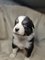 processed/aea725df-222f-4d60-abb1-73653cd97e9c/listing/daa8b16c-5c65-4573-be08-6a6ac141d2a2/4ca3621e-9a6e-4b1b-ac19-3a2359797080