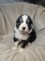 processed/aea725df-222f-4d60-abb1-73653cd97e9c/listing/daa8b16c-5c65-4573-be08-6a6ac141d2a2/7fc7ea40-14df-4e97-9db4-34b592bb5789