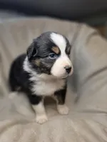 processed/aea725df-222f-4d60-abb1-73653cd97e9c/listing/daa8b16c-5c65-4573-be08-6a6ac141d2a2/9de7d5a3-db9b-4eb3-a759-6d0faafce250