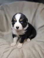 processed/aea725df-222f-4d60-abb1-73653cd97e9c/listing/daa8b16c-5c65-4573-be08-6a6ac141d2a2/f8eb6d87-98f1-422c-9c01-45276c5e43ea