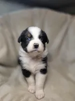 processed/aea725df-222f-4d60-abb1-73653cd97e9c/listing/e97eff77-d58b-4ee6-b4ce-95b971f10c52/0948945b-5127-4ca0-a9c2-052b8319ed8d