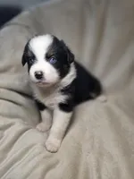 processed/aea725df-222f-4d60-abb1-73653cd97e9c/listing/e97eff77-d58b-4ee6-b4ce-95b971f10c52/114d366d-350d-4663-b811-58995d00bd97