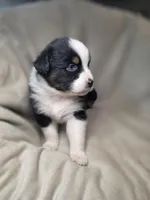 processed/aea725df-222f-4d60-abb1-73653cd97e9c/listing/e97eff77-d58b-4ee6-b4ce-95b971f10c52/86f9e532-29dd-40ac-8feb-6c4070618018