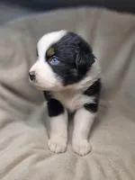 processed/aea725df-222f-4d60-abb1-73653cd97e9c/listing/e97eff77-d58b-4ee6-b4ce-95b971f10c52/d1de093e-15b2-4f7f-a227-b62c00ddfbc1