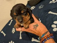 processed/aead3eb9-f002-4196-af1c-1971c3040940/facility/4fe7cd12-b93d-4c93-b56a-7811a41ac494