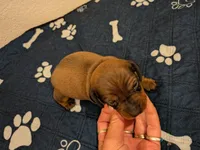 processed/aead3eb9-f002-4196-af1c-1971c3040940/facility/5d3987b1-26f1-42d4-b854-cb41f6ca9eaa