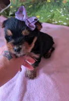 processed/aead3eb9-f002-4196-af1c-1971c3040940/facility/99f90c8c-33b9-4505-bde4-1b448680d3df