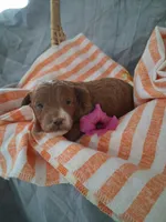 processed/aead3eb9-f002-4196-af1c-1971c3040940/facility/af4f0a57-ba68-4c58-b945-9d943f0bd7c7