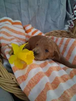 processed/aead3eb9-f002-4196-af1c-1971c3040940/facility/ce889768-e1a4-4c0e-aaba-9bf792cc5563