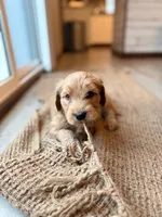 processed/aeaef18e-f869-401c-8676-457b249f0070/listing/6e44479c-a62a-4f16-aa03-d951ad093b52/01867402-9c34-4898-8412-222a82c6e173