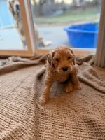 processed/aeaef18e-f869-401c-8676-457b249f0070/listing/6e44479c-a62a-4f16-aa03-d951ad093b52/1382d3bc-1c1d-49fb-82c5-7c265811f24d