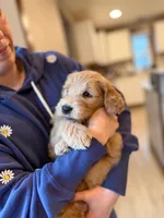 processed/aeaef18e-f869-401c-8676-457b249f0070/listing/6e44479c-a62a-4f16-aa03-d951ad093b52/457ce7f7-0812-464e-9cac-e945bfca1dbe