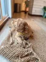 processed/aeaef18e-f869-401c-8676-457b249f0070/listing/6e44479c-a62a-4f16-aa03-d951ad093b52/fea732f6-1ff5-4a8b-a7e5-c4fb6adacfd8