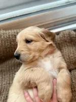 processed/aeaef18e-f869-401c-8676-457b249f0070/listing/ae7522a2-e1f0-4c3c-b705-d3f937aa5799/22938097-d7b3-4fa7-b7b5-97c6b46c25fa