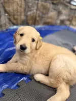 processed/aeaef18e-f869-401c-8676-457b249f0070/listing/ae7522a2-e1f0-4c3c-b705-d3f937aa5799/47a8bffd-78e8-43ff-adc8-48299bb9db5d