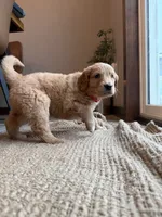 processed/aeaef18e-f869-401c-8676-457b249f0070/listing/f8ac6038-55a7-476f-a5e6-e7050fbbd8cd/2a10f43f-adb6-4fd1-b819-f2732fa8182d