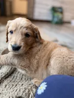 processed/aeaef18e-f869-401c-8676-457b249f0070/listing/f8ac6038-55a7-476f-a5e6-e7050fbbd8cd/60544900-0ba9-4a24-a5f5-89a81b4856c5