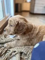 processed/aeaef18e-f869-401c-8676-457b249f0070/listing/f8ac6038-55a7-476f-a5e6-e7050fbbd8cd/f2a44dfb-de84-4dfc-9e21-565407f86f0d