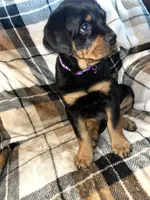 processed/aeb1ab8d-271e-4308-8a43-2704aac7f154/listing/1deca72d-29b6-4e69-ad0e-4df2f63572d6/3ef6c3b1-23be-40b0-b12b-5a32e4c7b2d7