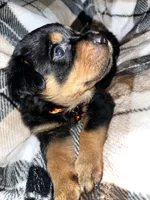 processed/aeb1ab8d-271e-4308-8a43-2704aac7f154/listing/2a1e7e86-b7a6-4291-b608-3f9f0dd6afdf/097db138-15be-4cd2-9f83-70203963a768