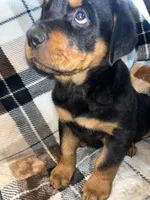 processed/aeb1ab8d-271e-4308-8a43-2704aac7f154/listing/2a1e7e86-b7a6-4291-b608-3f9f0dd6afdf/7016aaf4-127b-47a5-ab1d-577cef386dca