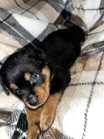 processed/aeb1ab8d-271e-4308-8a43-2704aac7f154/listing/2a1e7e86-b7a6-4291-b608-3f9f0dd6afdf/7ec3989f-30bd-418e-9670-a538386581be