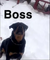 processed/aeb1ab8d-271e-4308-8a43-2704aac7f154/listing/2a1e7e86-b7a6-4291-b608-3f9f0dd6afdf/984a24a6-dd95-4dd3-a0d6-185f1231bcb5