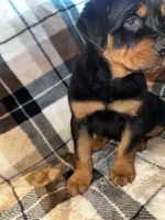 processed/aeb1ab8d-271e-4308-8a43-2704aac7f154/listing/2a1e7e86-b7a6-4291-b608-3f9f0dd6afdf/ece4aa00-975e-402f-ab7d-646320f25cbd