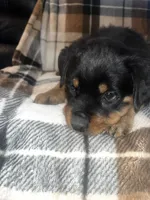 processed/aeb1ab8d-271e-4308-8a43-2704aac7f154/listing/6fc30b10-754c-45ff-afdc-053a491b46dc/f2ecc728-6e3e-40a7-a74b-2829e3dc47a4