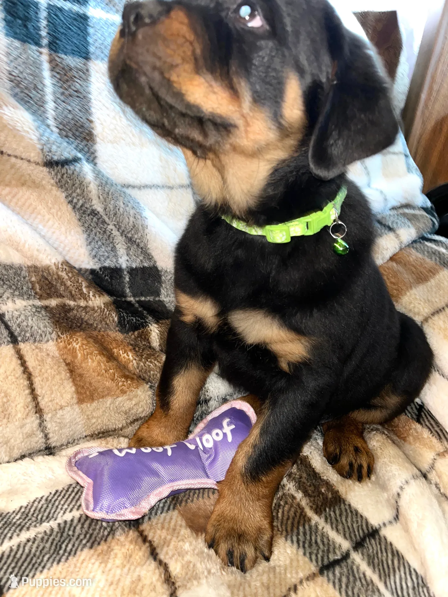 processed/aeb1ab8d-271e-4308-8a43-2704aac7f154/listing/e094be5b-9fcd-47e5-8966-4df5025a458e/11a658b4-d03a-4c01-9824-2ba991339932