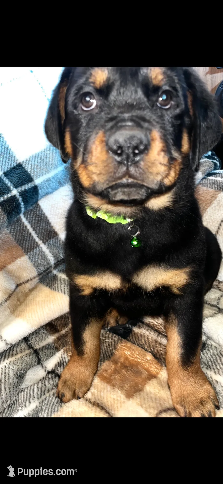 processed/aeb1ab8d-271e-4308-8a43-2704aac7f154/listing/e094be5b-9fcd-47e5-8966-4df5025a458e/864eacd1-554d-4b6a-baca-5967371e3785